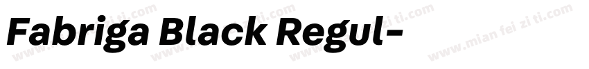 Fabriga Black Regul字体转换